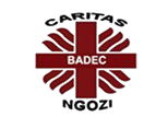 BADEC-Ngozi Logo